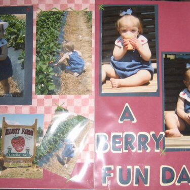 A Berry Fun Day