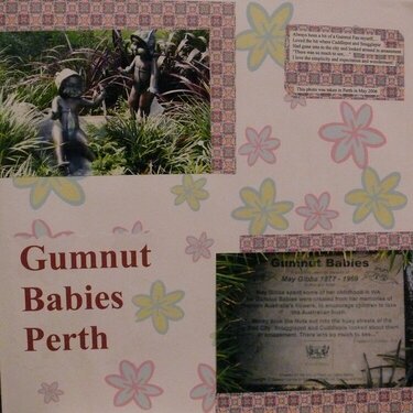 GUMNUT BABIES