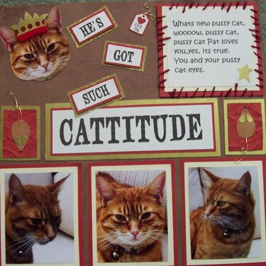 Cattitude