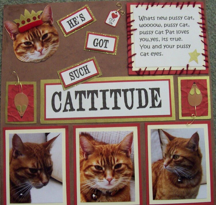 Cattitude