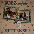 Buzz and the KITTENS!!!!