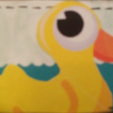 Duck ATC 2