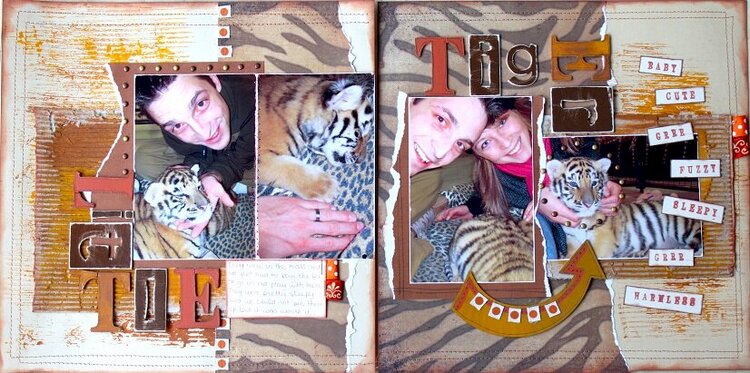 Little Tiger