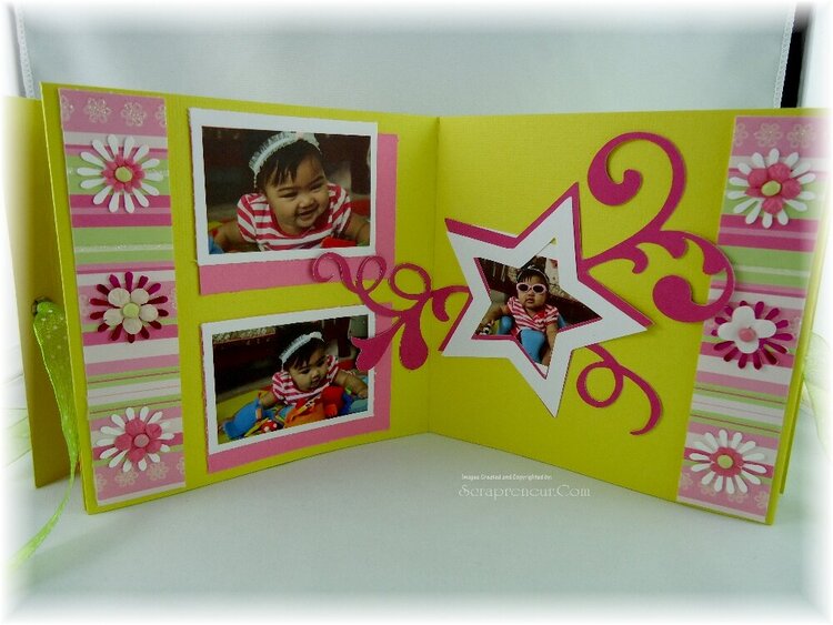 Baby Girl Mini Accordion Album