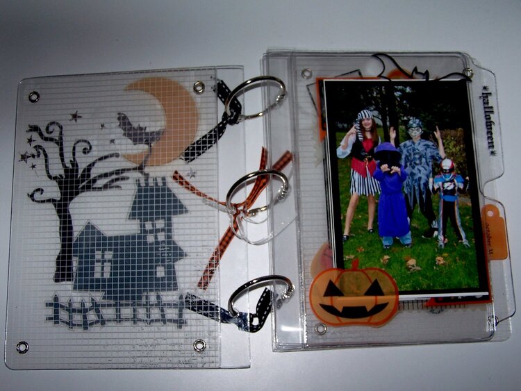 Halloween Clear Acrylic Album