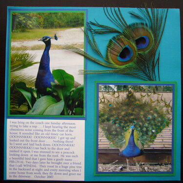 Peacocks page 2