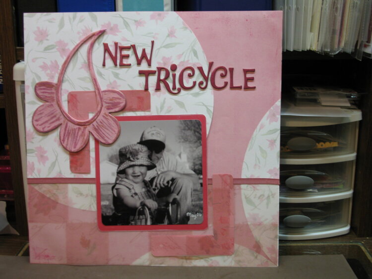 new tricycle pg 1