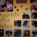 Aggshil Miss Daisy