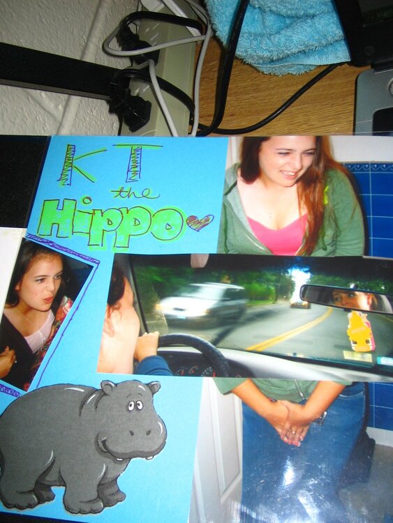 kT THE HIPPO!