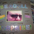 Seagull Surprise