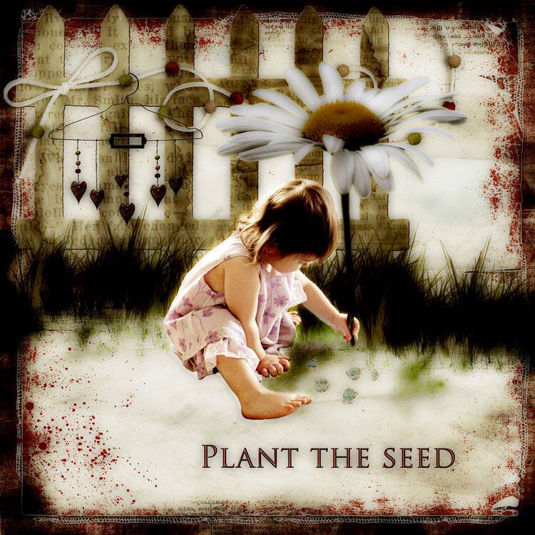Plant The Seed