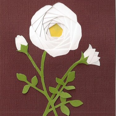 Iris folded rose
