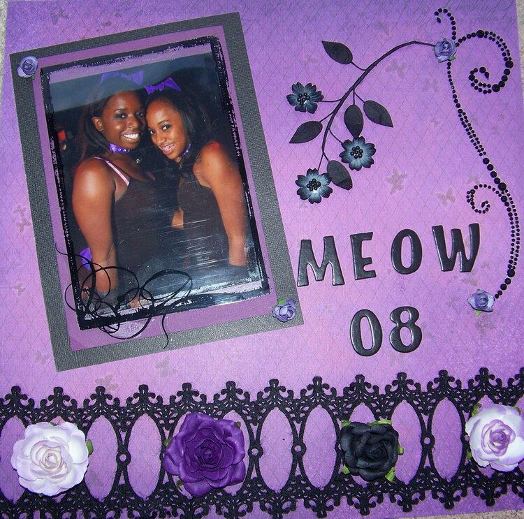 Meow 08