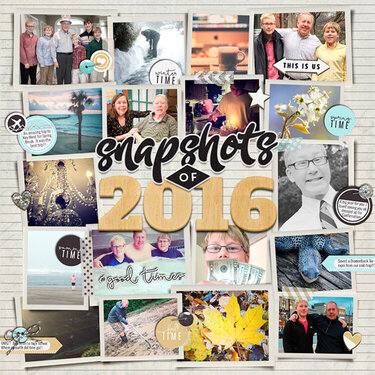Snapshots of 2016