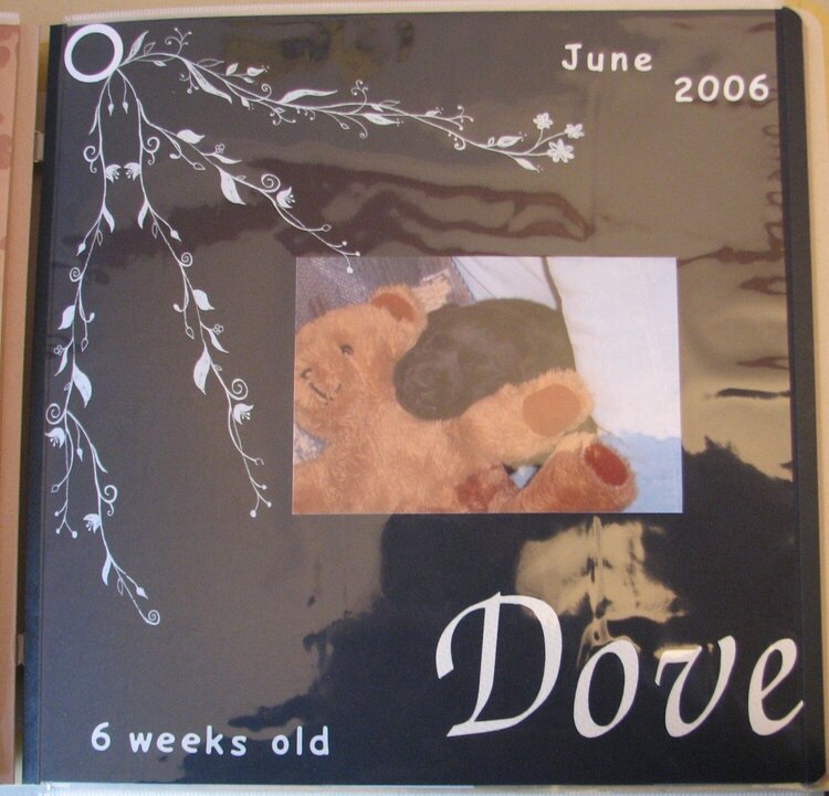 Dove @ 6 weeks