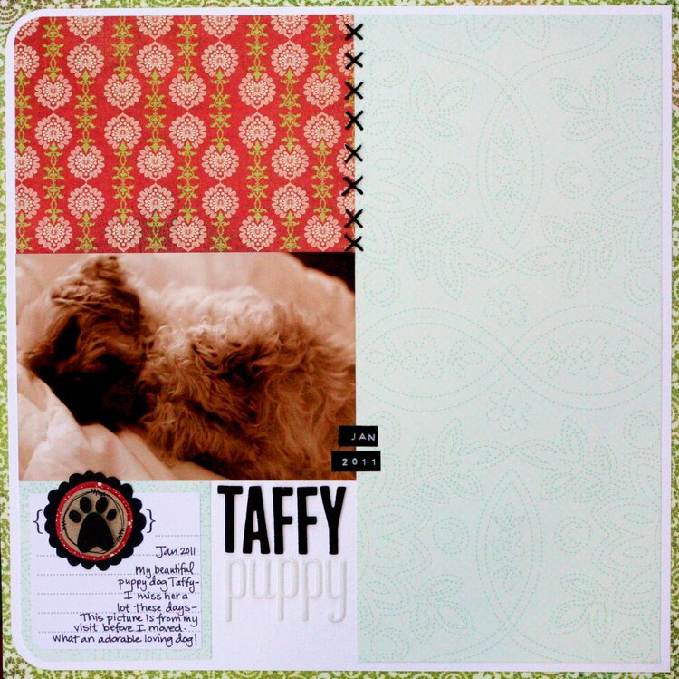 Taffy Puppy
