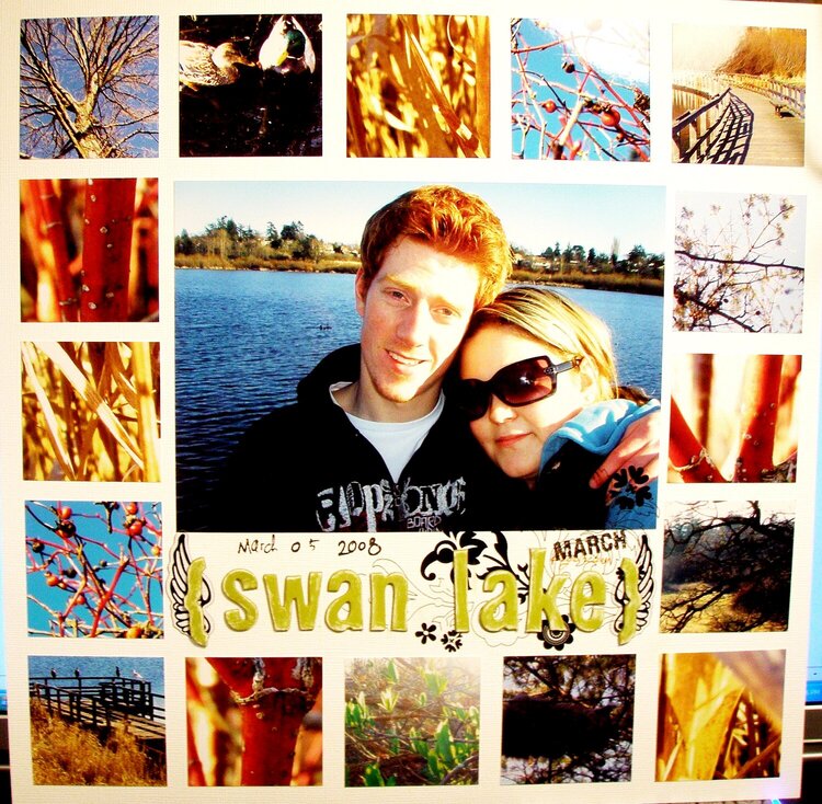 Swan Lake Daydream