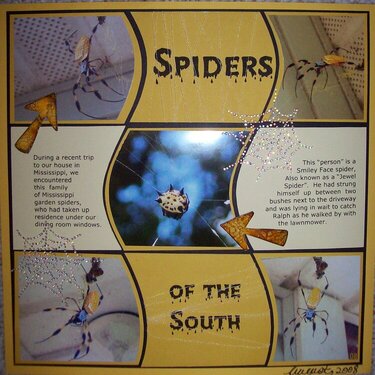 Spiders of the South