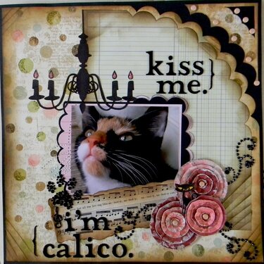 Kiss me, I&#039;m Calico