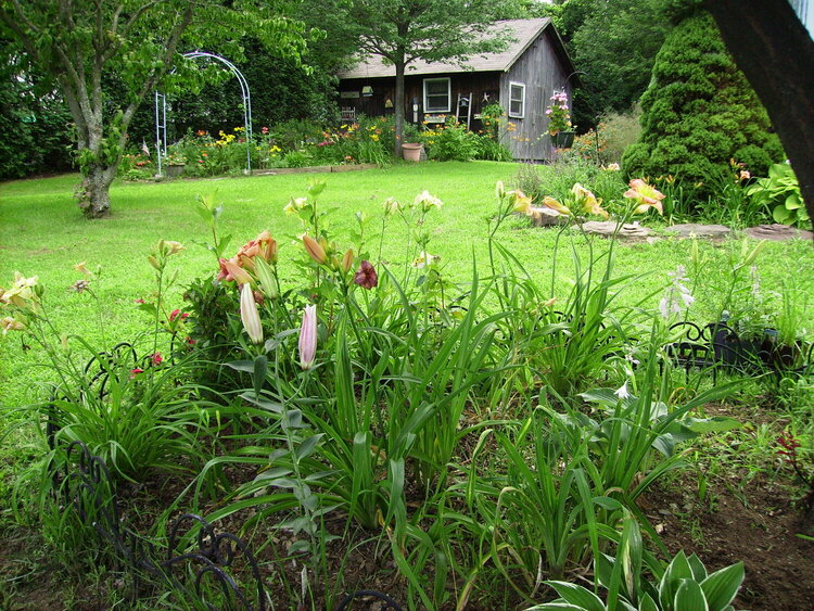 july in the garden 2008