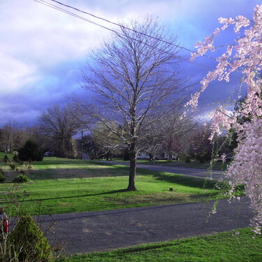 april 2010..spring morning pod..west suffield, ct