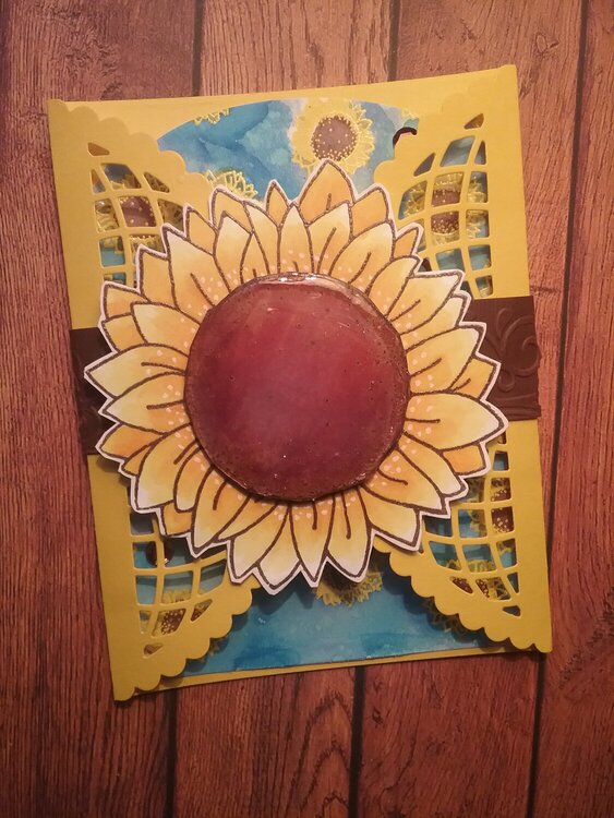 Sunshine &amp; Sunflowers