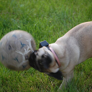 Playing Soccer