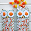 *We R* Owl Pillow Poxes