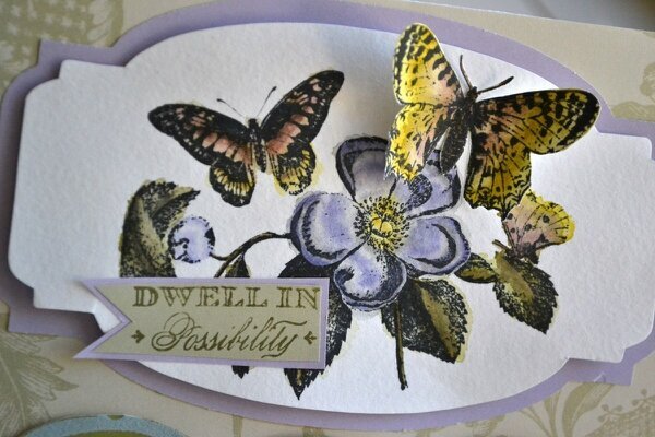 possibility card *anna griffin*