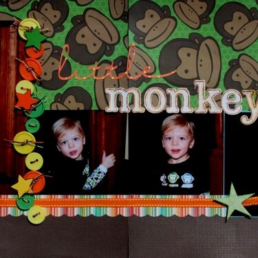 Little Monkey Boy