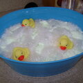 Punch Bowl, ducks floating in a "bathtub"
