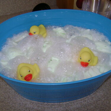Punch Bowl, ducks floating in a &quot;bathtub&quot;