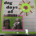 The Dog Days of Summer