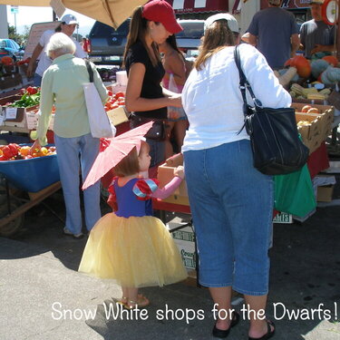 Snow White shops for the Dwarfs