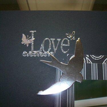 Love bird details