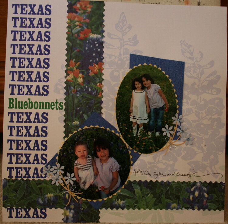 TX Bluebonnets