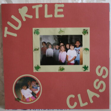 Turtle Class