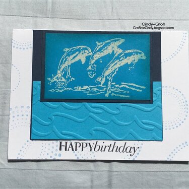 Dolphin birthday card