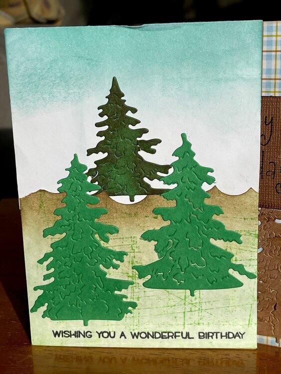 Trees outdoor Scene guy card