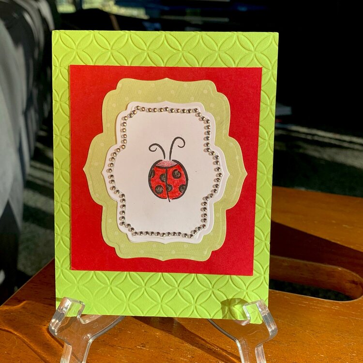 Ladybug card