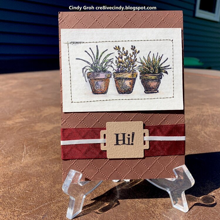 Potted Plants Thinking of you cards