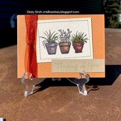 Potted Plants Thinking of you cards