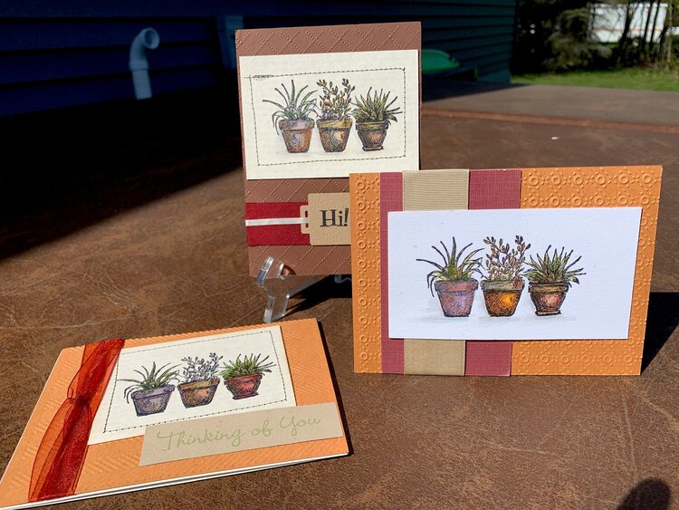 Potted Plants Thinking of you cards