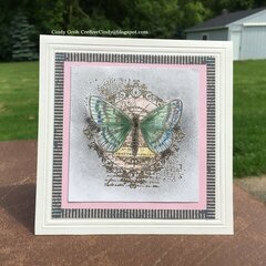 Chalk Butterfly card