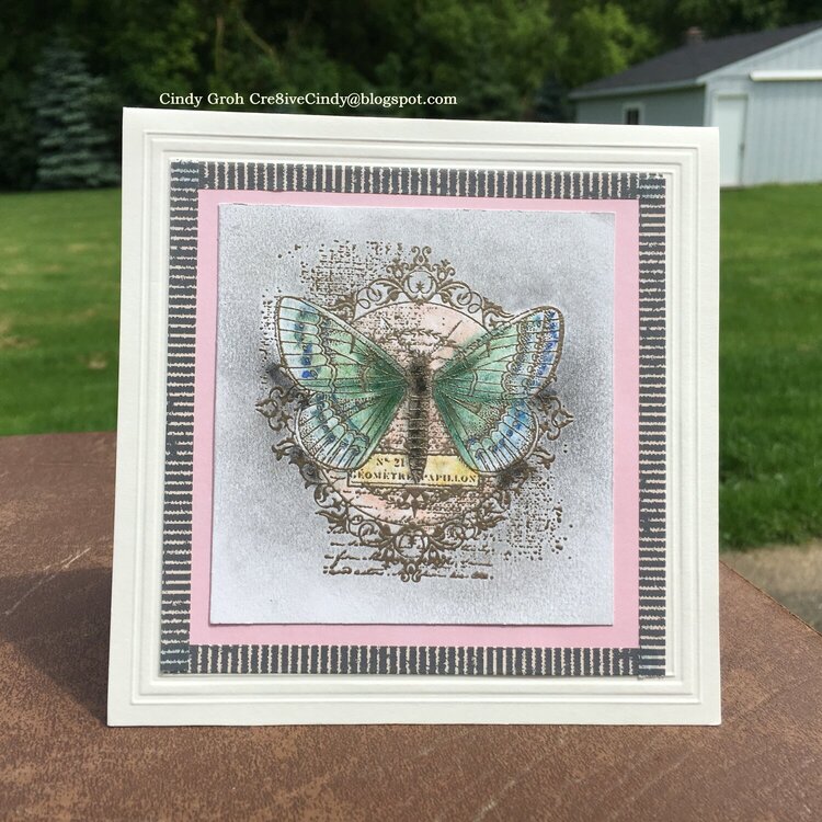 Chalk Butterfly card