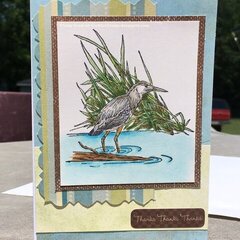 Sandpiper Thank you card