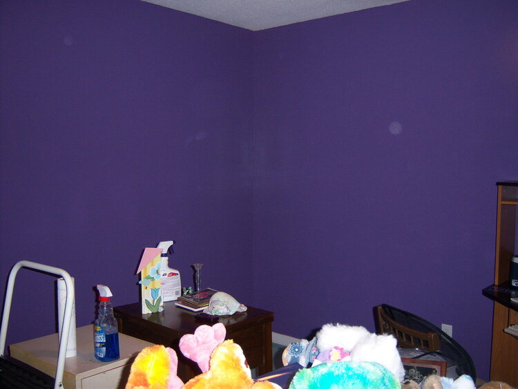 Left side of room