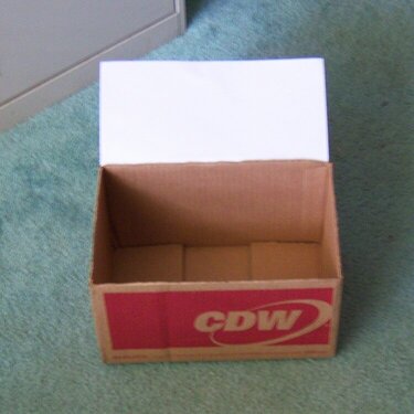 Cardboard Box - Before