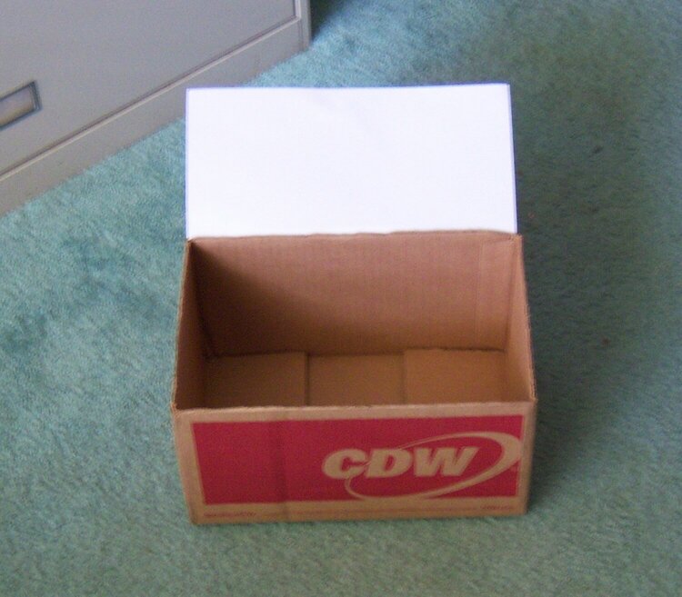 Cardboard Box - Before
