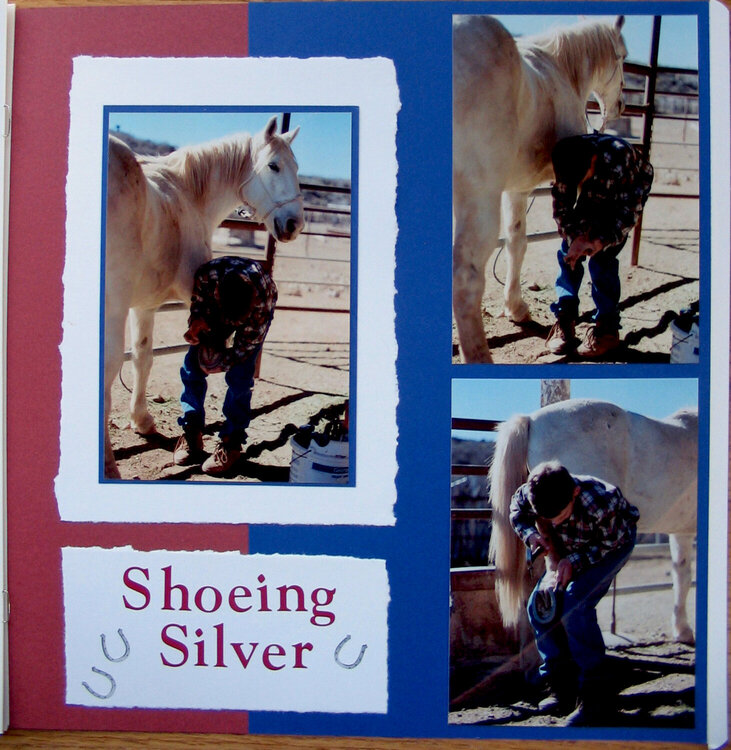 Shoeing Silver (LS)